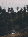 A bird sitting on a One Way sign with tree covered hills in the background and the smoggy skyline of Los Angeles in the distance Royalty Free Stock Photo