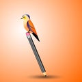Bird sitting on a pencil
