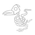 Bird skeleton. Museum exhibit isolated on white background. Archeology. Vector illustration Royalty Free Stock Photo