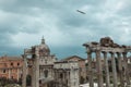 Bird in sky over Ancient ruins in Roman Forum