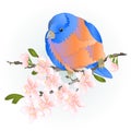 Bird small thrush Bluebird watercolor on a sakura cherry branch pink flower with leaves blue background vintage vector