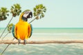 macaw parrot bird smile exotic animal catch on wood against sea beach tropical summer Royalty Free Stock Photo