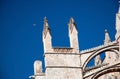 Bird soaring high Royalty Free Stock Photo