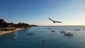 a bird is flying over a body of ocen close to beach Zanzibar Africa Tanzania Royalty Free Stock Photo