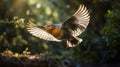 Red Robin In Flight: A Stunning Depiction Of Nature\'s Beauty