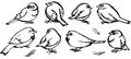 Bird sparrow outline set