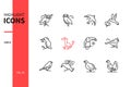 Bird species - line design style icons set