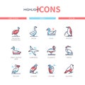 Bird species - modern line design style icons set