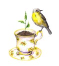 Bird, spring sprout - green growing plant in teacup. Watercolor