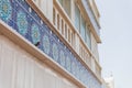 Bird Stand in Front of Blue Arabic Tiles