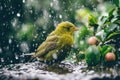 a bird standing in the rain