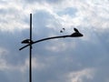 Bird standing on the street lamp  another two birds flying Royalty Free Stock Photo