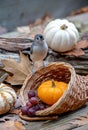 Bird stands on a wicker cornucopia Royalty Free Stock Photo