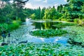 Bird Statues Lily Pads Van Dusen Garden Vancouver British Columbia Canada Royalty Free Stock Photo