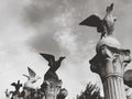 Bird statues and the sky