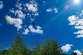 Bird stork in flight against the blue sky