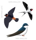 Bird Swallow Set Cartoon Vector Illustration Royalty Free Stock Photo