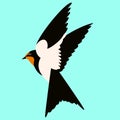 Bird swallow vector illustration flat style Royalty Free Stock Photo