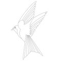 Bird swallow vector illustration lining draw