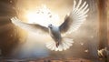 Bird symbol flight peace wing dove hope white purity pigeon sky