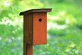 Bird table in nature Royalty Free Stock Photo