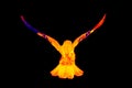 Bird taking off infrared