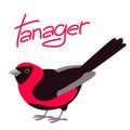 Tanager vector illustration flat style profile side Royalty Free Stock Photo