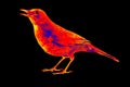 Bird thrush in scientific high-tech thermal imager