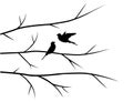 Birds silhouettes on branch in autumn, illustration Royalty Free Stock Photo