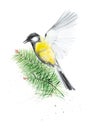 Bird Tit flies up to the twig of the tree surrounded by abstract drops.Christmas Watercolor illustration isolated on white Royalty Free Stock Photo