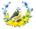 Bird tit sit branch floral wreath dandelion and thistle. Tit symbol in color of Ukrainian flag