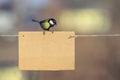 Bird tit sits on a banner empty poster in a Sunny spring garden