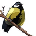 Bird titmouse sitting on a branch