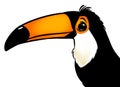 Bird toucan cartoon illustration Royalty Free Stock Photo