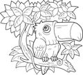 Bird toucan, sitting on a branch, coloring book, funny illustration