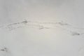 Bird tracks on the first snow. Shot from above. Royalty Free Stock Photo