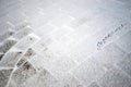 Bird tracks on the snow-covered square tile in the park in winter Royalty Free Stock Photo