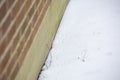 Bird Tracks in Winter Precipitation