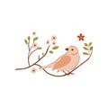 Bird on tree branch vector element. Cute beige sparrow illustration. Birdwatching