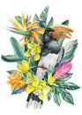 Bird and tropical flowers on isolated white background, watercolor illustration, toucan Royalty Free Stock Photo