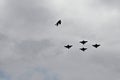 a bird trying to catch up with military planes