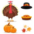 Bird turkey set with hat, pie and pumpkins