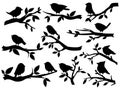 Bird and twig silhouettes. Cute birds and on branch, romantic spring image, black sparrows on tree, garden decor retro Royalty Free Stock Photo