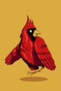 Red bird vector with yellow eye color illustration Royalty Free Stock Photo