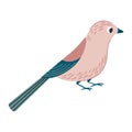 Bird vector illustration in cartoon style. Garden jay bird. Flying little cute birdie Royalty Free Stock Photo