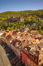 Bird view of old downtown in Heidelberg and ancient castle, Germany, summer Royalty Free Stock Photo