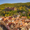 Bird view of old downtown in Heidelberg and ancient castle, Germany, summer Royalty Free Stock Photo