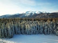 Bird view of Snow Kanas Forest in Winter Royalty Free Stock Photo