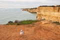 Bird walking on rocky ledge overlooking ocean Royalty Free Stock Photo