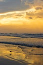 Bird Walking on Shore of Beach During Sunrise in Charleston, South Carolina Royalty Free Stock Photo